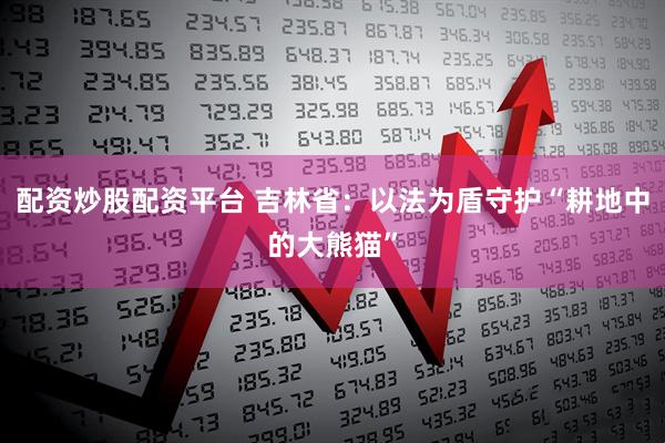配资炒股配资平台 吉林省：以法为盾守护“耕地中的大熊猫”